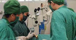 ເຊີດຊູບັນດາຜົນງານດ້ານການແພດຂອງຫວຽດນາມ